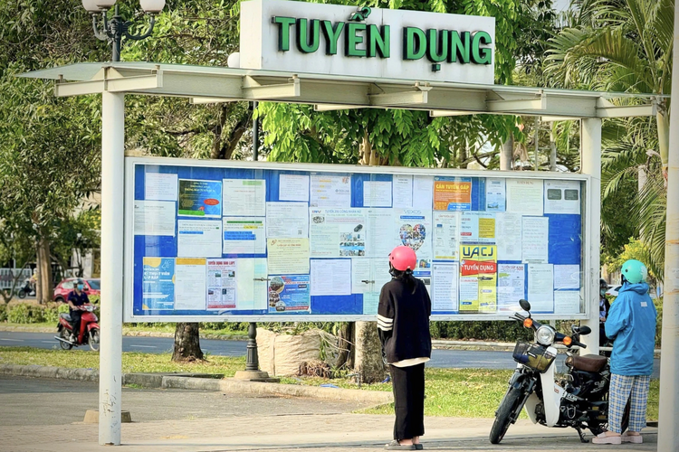 Nguoi Lao Dong Xem Thong Tin Tuyen Dung Trong Kcx Tan Thuan Q7anh Le Huynh 17392041774191856091492