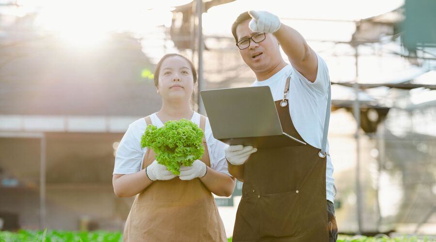 Two green workers talking about the green future