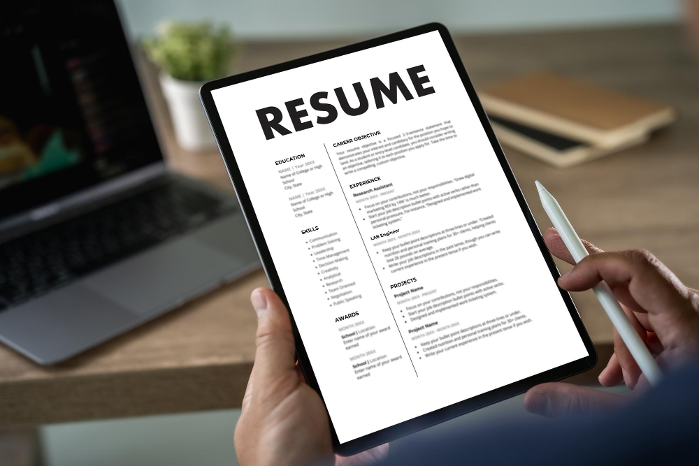 Ứng viên thiết kế theo cấu trúc CV chuẩn Harvard