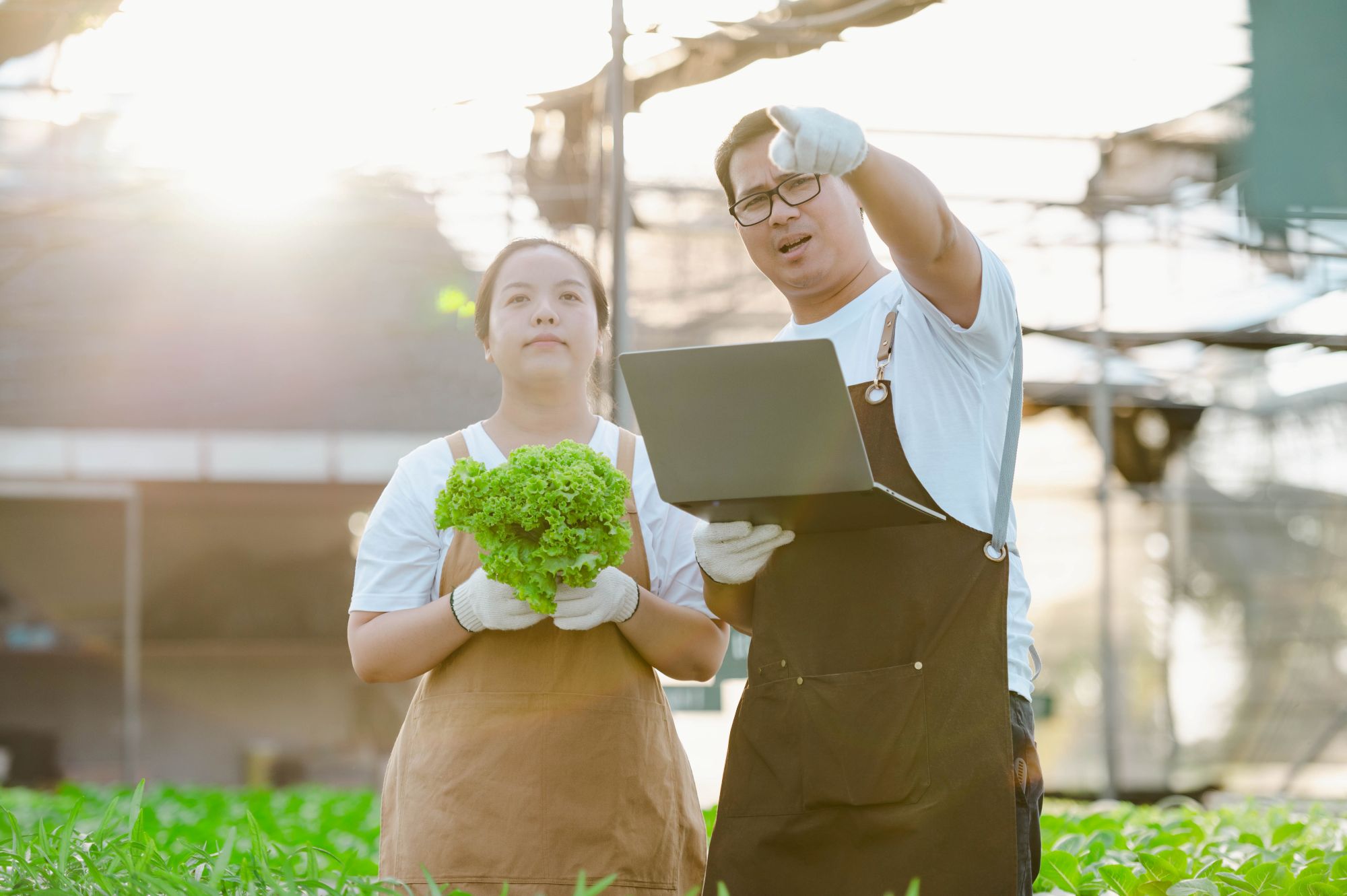 Người đàn ông và người phụ nữ làm việc tại một môi trường xanh.