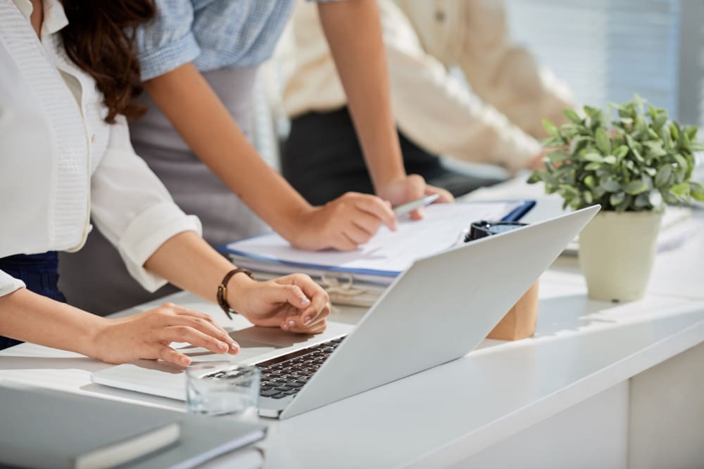 Employee checking data on laptop