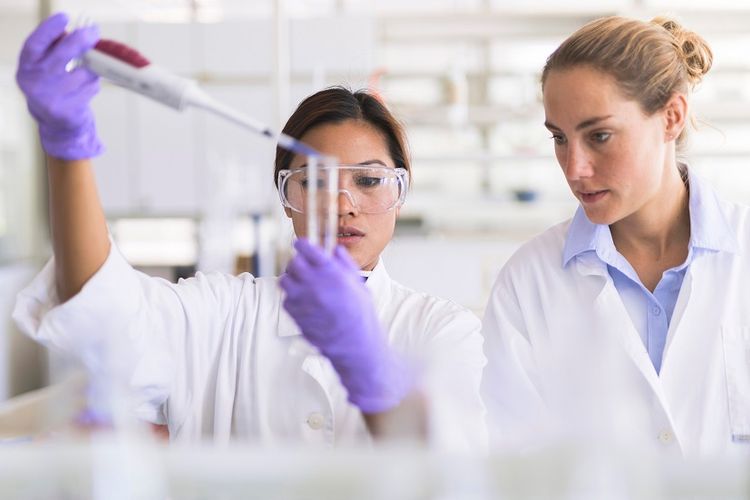 Women now representing nearly 40% of global workforce