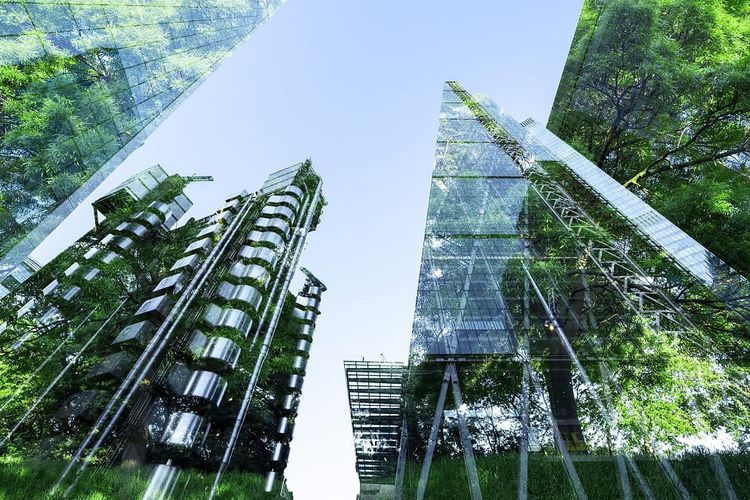 Green Business Transformation will be the #1 job creator in the next 5 years